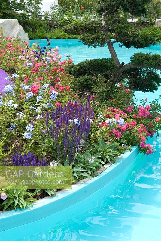 Colourful planting at poolside - Floriade 2012