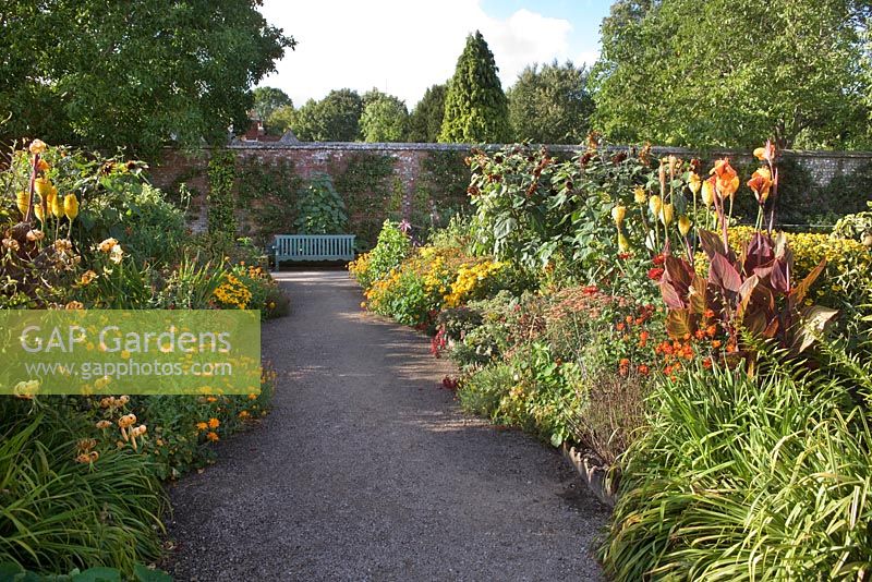 Helianthemum, Helianthus, Helenium, Canna, Kniphofia, Lilium, Calendula officinalis and Crocosmia - The Hot Border in the Walled Garden at West Dean, Sussex