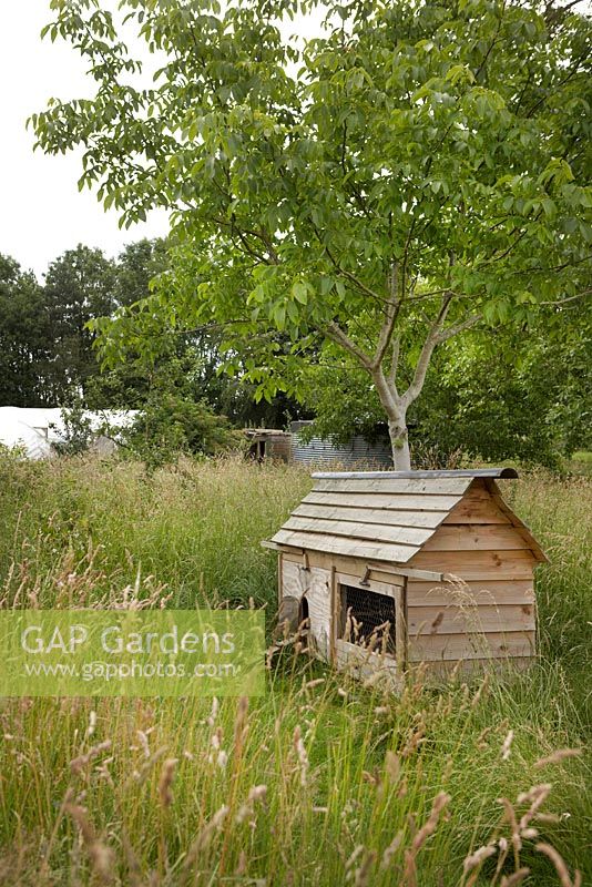 Chicken house in wild garden, with compost and polytunnels in background - Worton Organic Garden Farm