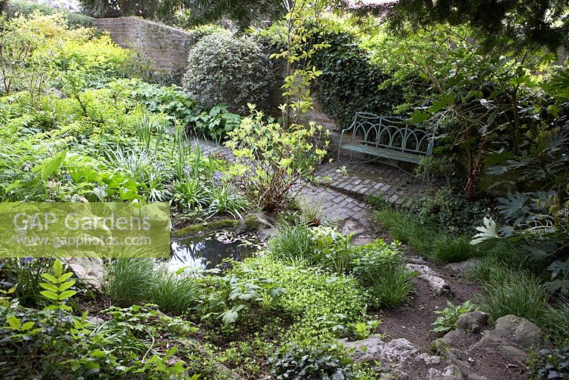 Area of woodland planting in town garden with pond, seating area and frog sculpture.  Planting includes Sweet Woodruff, Polygonatum hybridum - Solomons seal, Bluebells, Helleborus foetidus, Fatsia japonica, Japanese Anemone foliage, Euphorbia amygdaloides var. robbiae - Southwood Lodge
