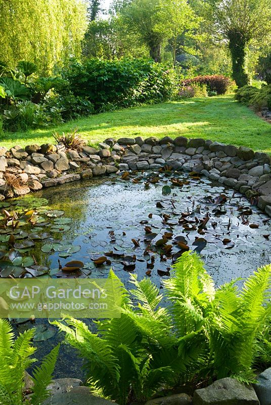 Pond edged with cobbles and ferns -  Westonbury Mill