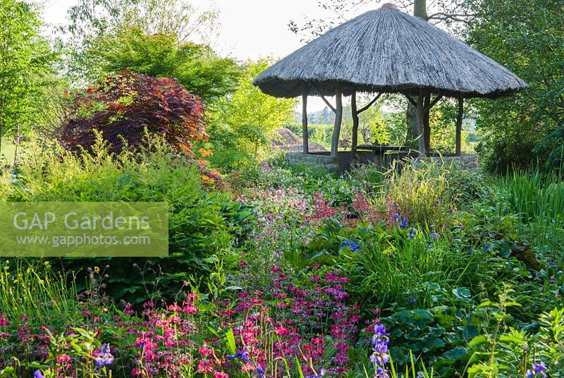 African inspired thatched hut surrounded by moisture loving plants including candelabra Primulas, Aruncus, Irises, Rodgersias and Astilbes - Westonbury Mill
