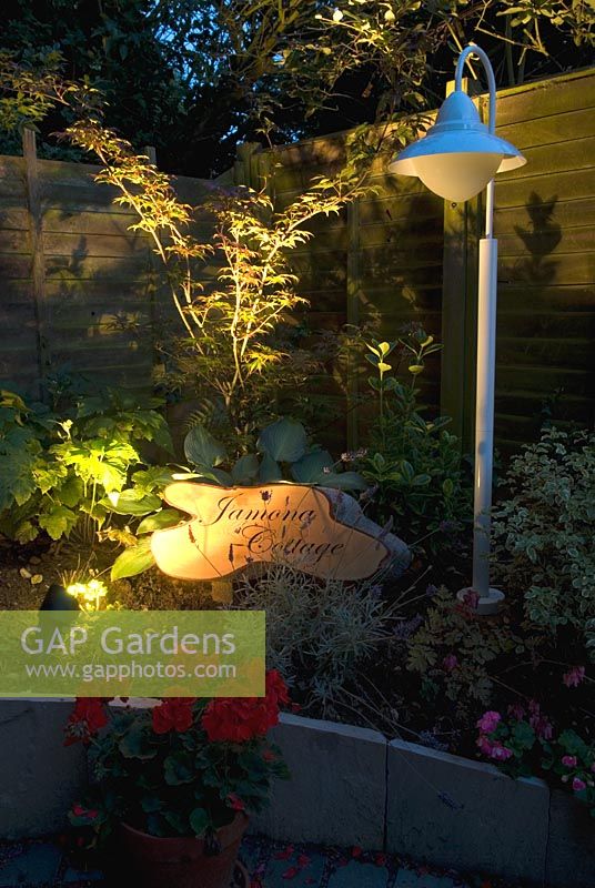 Spotlighting Acer and other garden shrubs with 12 volt garden lighting