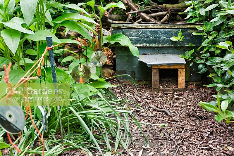 Wooden box shelter for hedgehogs