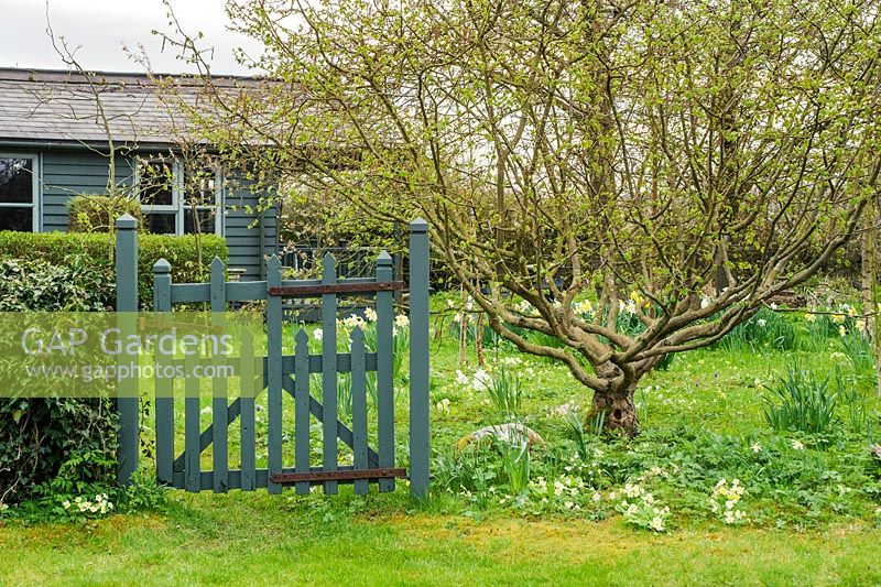 Gate to wild garden - The Mill House, Little Sampford
