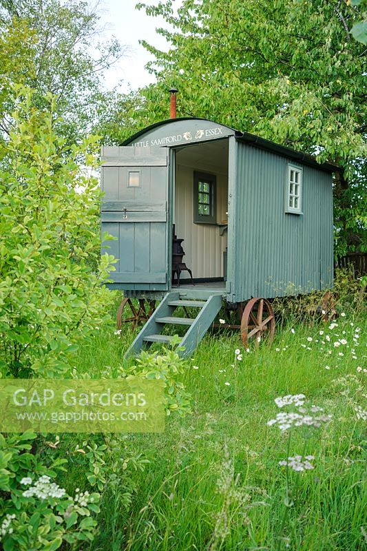 Shepherds hut in wild garden with oxeye daisies - The Mill House, Little Sampford, Essex