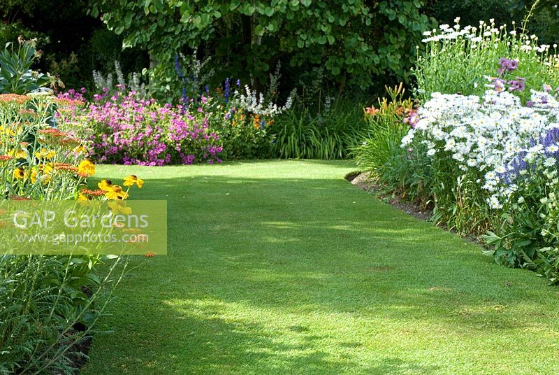 Perennials in borders along a grass path - Aster, Achillea, Helenium, Geranium and Hemerocallis  in June - Richard Ayres' Garden