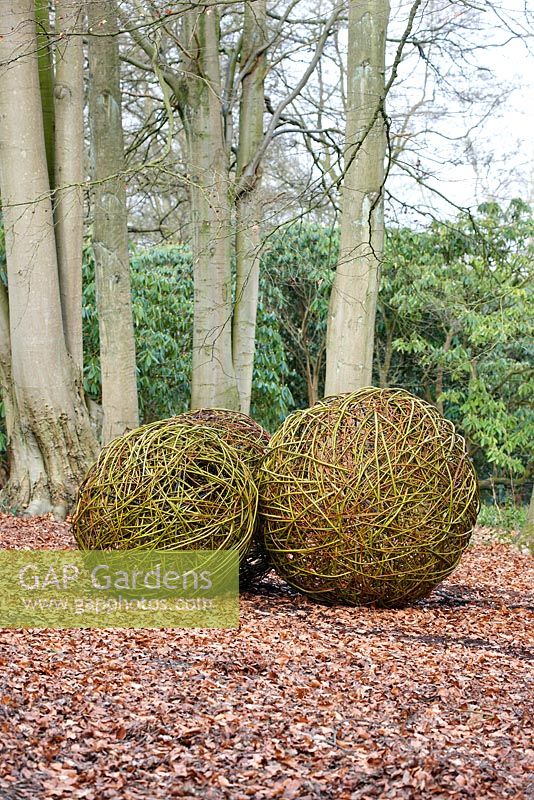 Decorative willow spheres in the woodland at RHS Harlow Carr