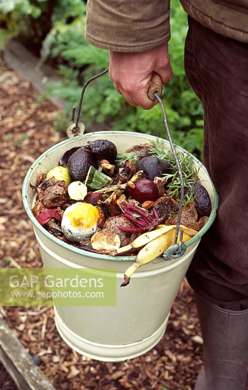 Man carrying an enamel bucket of kitchen waste to be composted