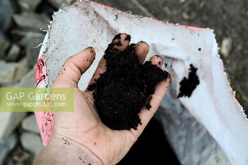 Composted human waste or 'humanure' being handled to demonstrate lack of smell and regular compost structure