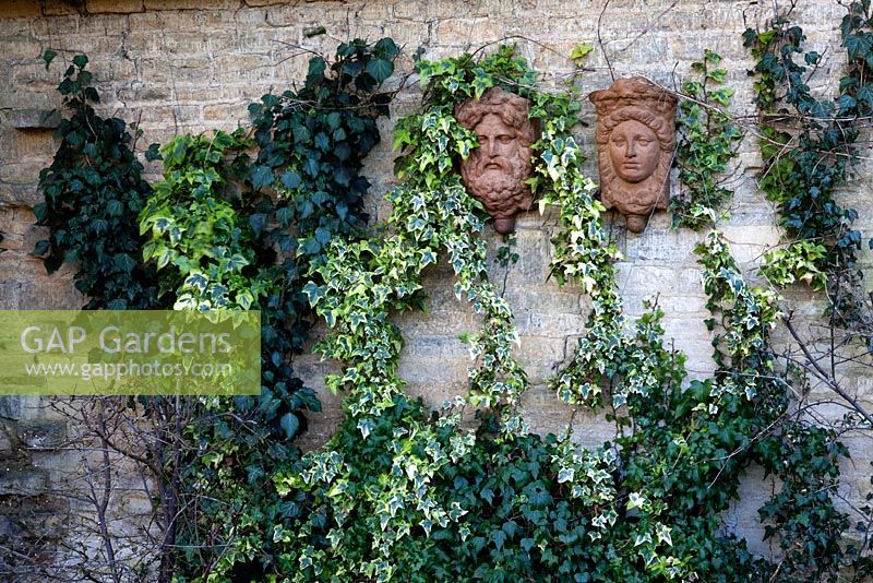 Ivy grows around two wall mounted, terracotta faces 