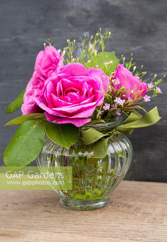 Flower arrangement in glass jar of Rosa 'Gertrude Jekyll' and Gypsophila 'Gypsy Rose'