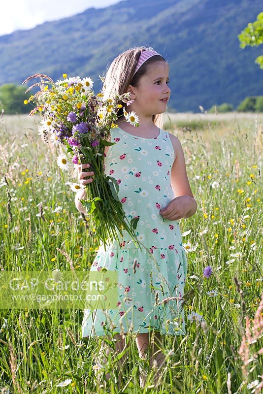 Girl holding bouquet of meadow flowers. Daisy, meadow sage, Scabious, buttercup, comfrey and ragged Robin