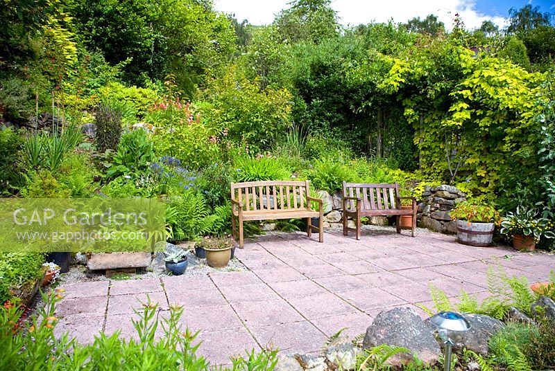 Patio seating area with planting of Agapanthus, Campanulas and ferns 
