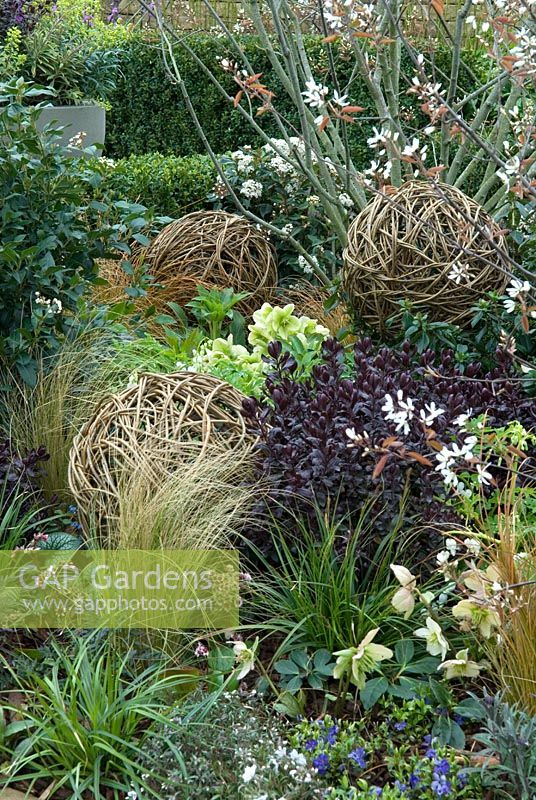 Border planting of shrubs, perennial plants and modern architectural features, including Hebe 'Black Beauty', grasses and hellebores - 'The Rough with the Smooth' Show Garden, Premier Gold Award, Harrogate Spring Flower Show 2103