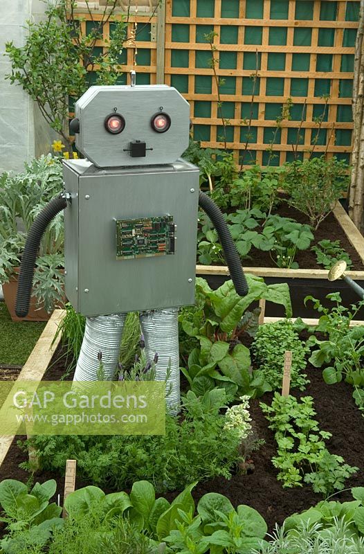 Novelty high-tech scarecrow with moving arms and flashing eyes - Leeds and District Gardeners' Federation, Harrogate Spring Flower Show 2013' 