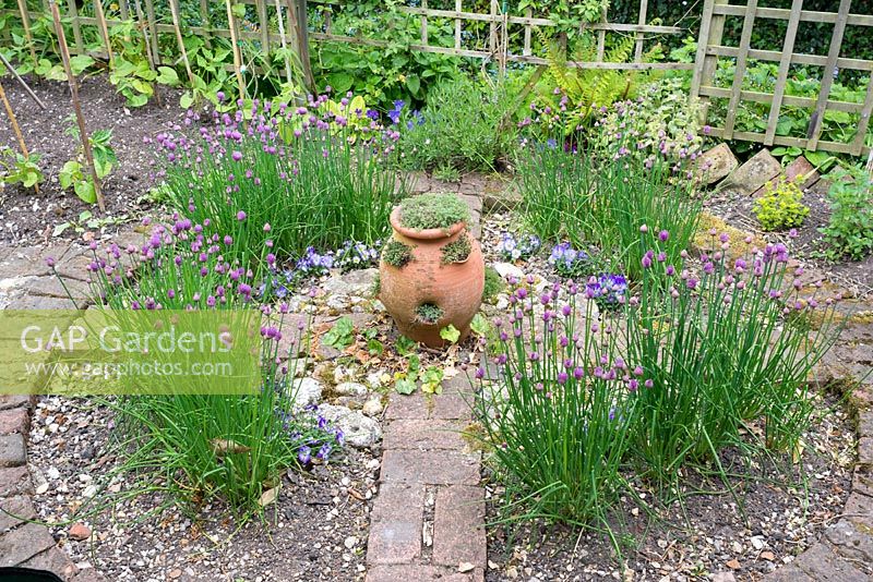 Rustic herb wheel with chives and terracotta pot containing Thyme