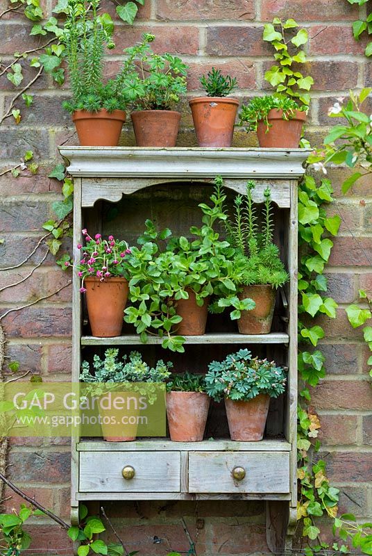 Outdoor wooden shelves with display of various succulents in terracotta pots