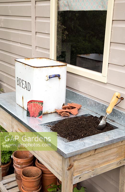 Step by Step -  Planting Carrot 'Sugarsnax' in a bread bin