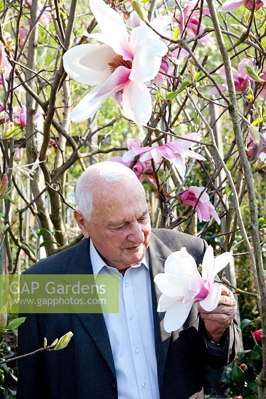 Owner, Otto Eisenhut with Magnolia 'Athene'