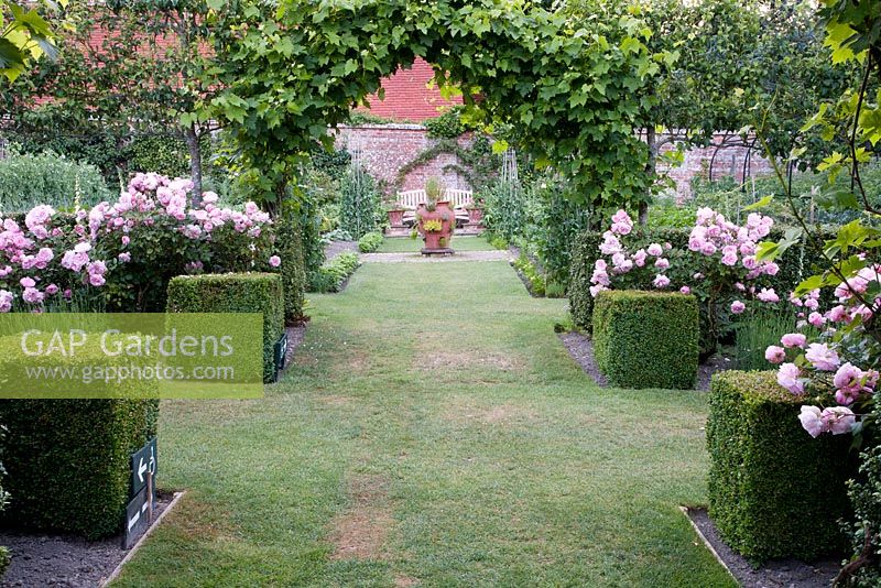 Formal Rose Garden including Rosa 'Irene Watts'. Pashley Manor