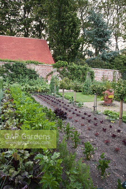 Formal walled vegetable garden in summer inclduing Peas, Onions, Beetroot and Lettuces. Pashley Manor