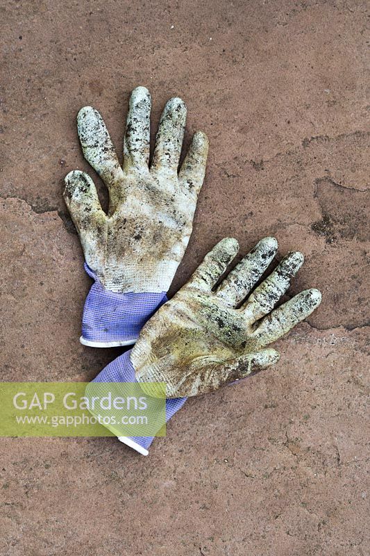 Gardening gloves on a paving slab