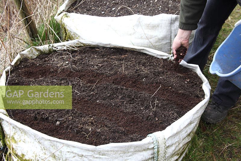 Growing carrots in a builders bag - make deep drills and partially fill with sieved compost