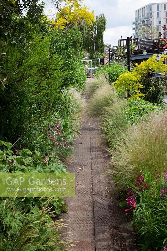 The Thames Garden Barges - walkways luxuriant with foliage including Robinia pseudoacacia 'Frisia', Stipa tenuissima , Penstemons. 