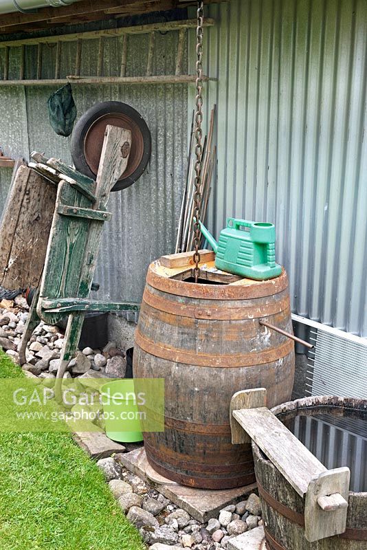Oak whisky barrel water butt with rain chain, old wheelbarrow and ladder