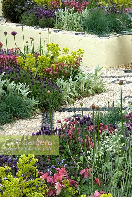 Artisan pebbled path through borders and raised beds in Mediterranean styled garden - 'Return to the Med' Show Garden, Silver Gilt Award, Malvern Spring Show 2013