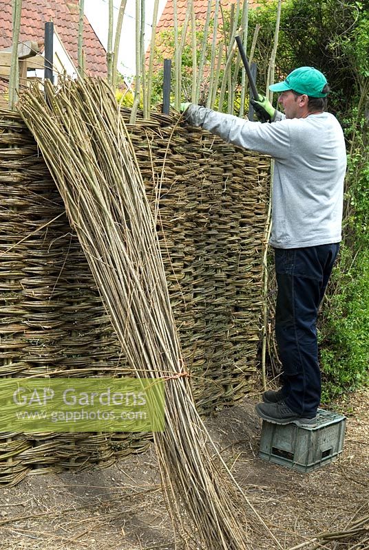 Willow Fence Construction -  Woven willows being beaten down with metal bar to ensure a tight weave for added strength