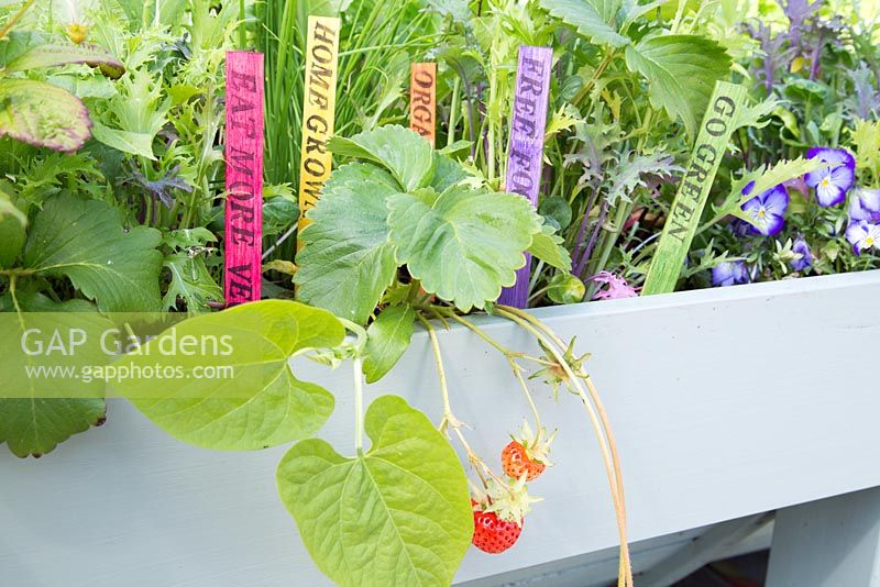 Colourful homemade labels in raised bed