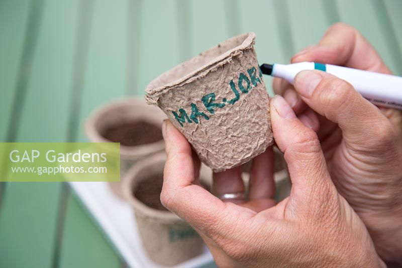 Using paper pots to plant herbs - writing plant name on cardboard pot
