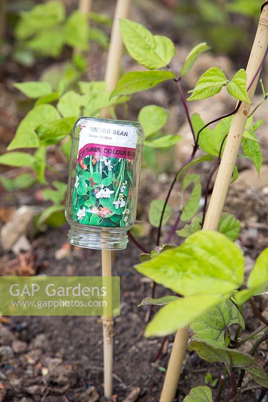 Using original seed packet inside recycled glass jar for labeling