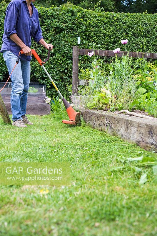 Woman using strimmer at edge of raised bed