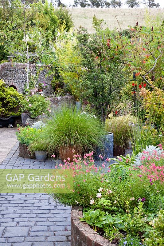 Walled courtyward garden. All planting created above ground, on top of former farmyard.  Mixed containers and beds, include Diascia, Betula, Sedum, mixed grasses and Rhus typhina - NGS garden Oxsetton