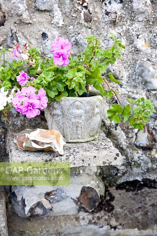 Old stone container on shelf with Geranium - NGS garden Oxsetton