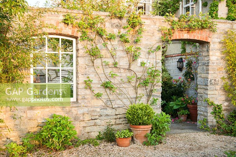 Wall with decorative window feature and pots planted with hostas and clipped box. 