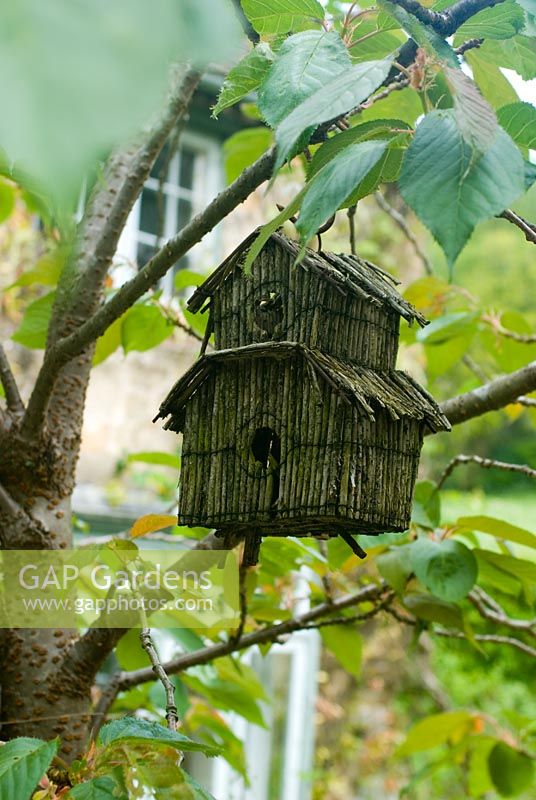 Vintage bird house hanging in tree