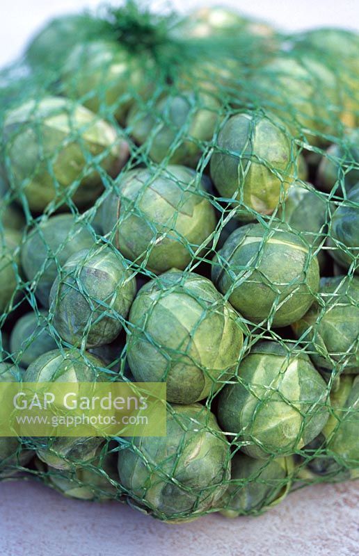 Net bag of commercially grown brussel sprouts
