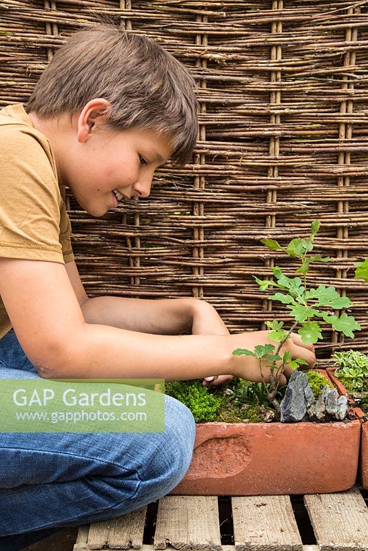 Young boy playing with miniature garden created with various small plants