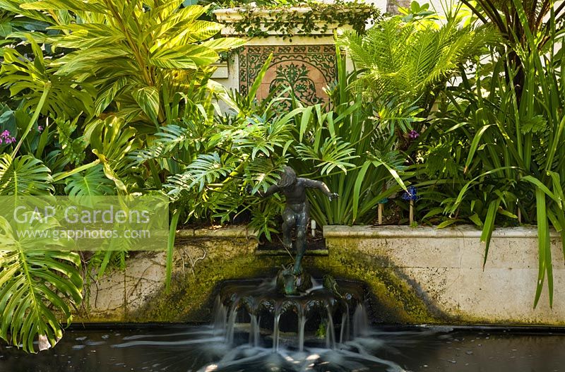 Water feature with lush planting of Philodendrum, Ficus and Cyathea 