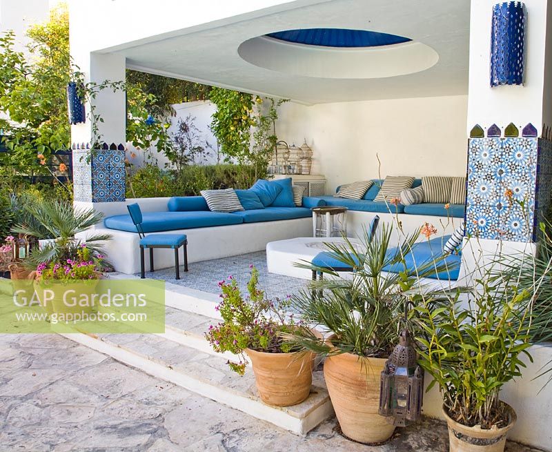 Outdoor living area with containers planted with Chamerops humilis 'Cerifera', Pelargonium and Epidendrum 