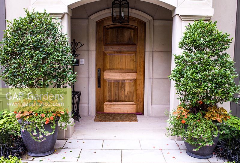 Entrance to house with containers planted with Coleus, Bacopa, Impatiens and Camelia 'Yuletide' 
