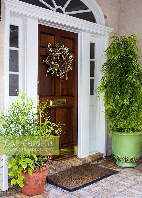 Entrance porch with containers planted with Ipomoea, Euphorbia tirucalii, Neoregelia, Begonia and Podocarpus 'Weeping' 