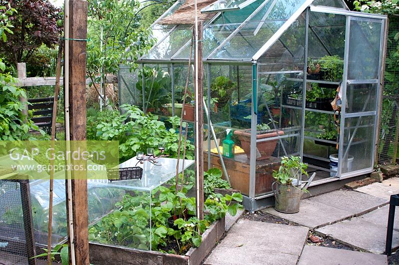 Corner of garden with small raised vegetable beds with covers and paved area with greenhouse