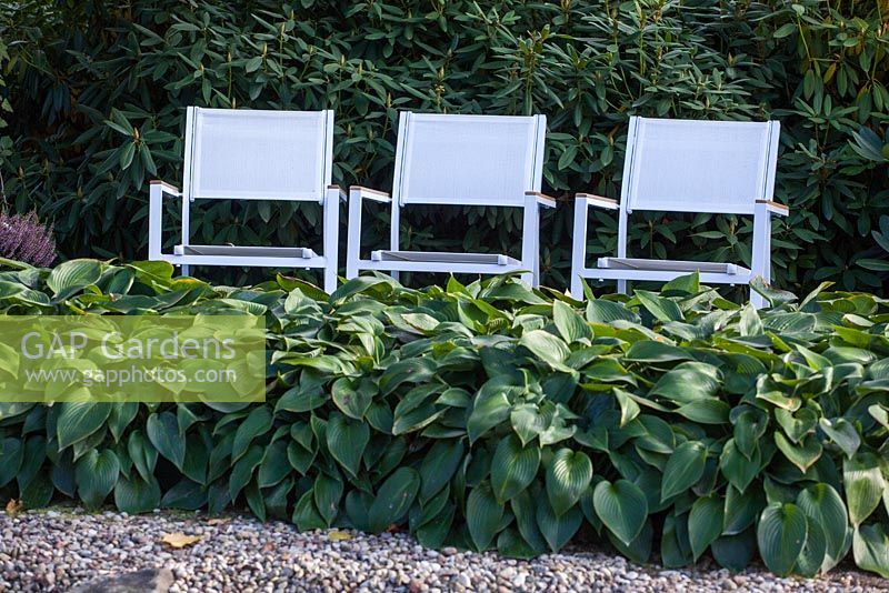White chairs in shady garden