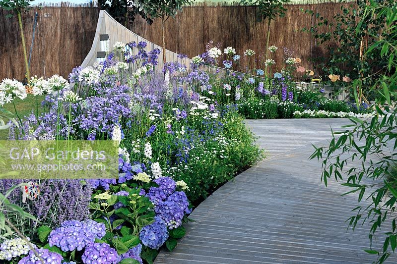 Blue and white border with Agapanthus, Delhinium, Hydrangea and salvia. A Day at The Seaside. RHS Tatton Park Flower Show 2013
