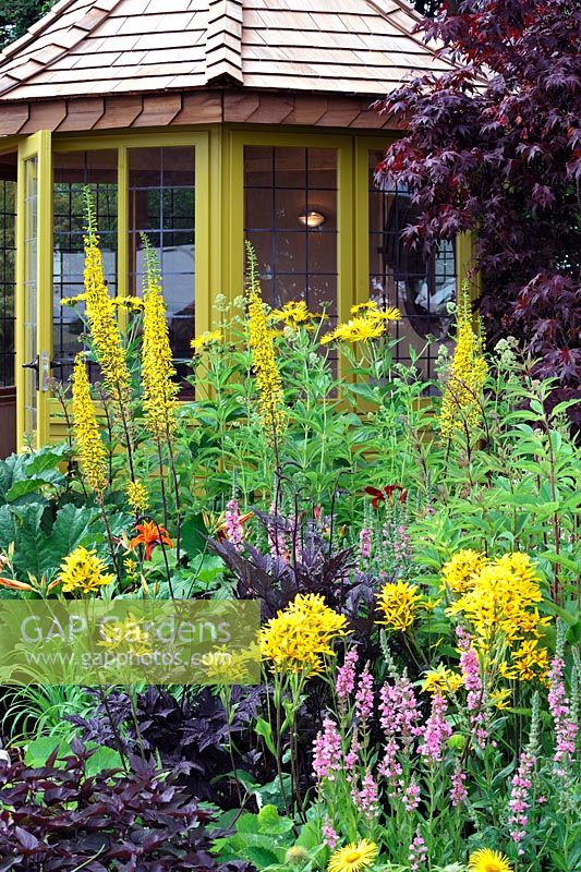 Yellow painted summerhouse with yellow Ligularia and pink Lythrum. The Water garden. RHS Tatton Park Flower show 2013